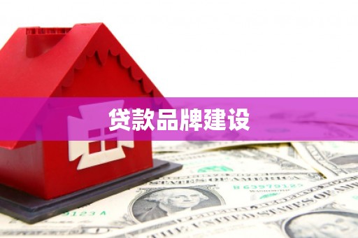 带岭贷款品牌建设
