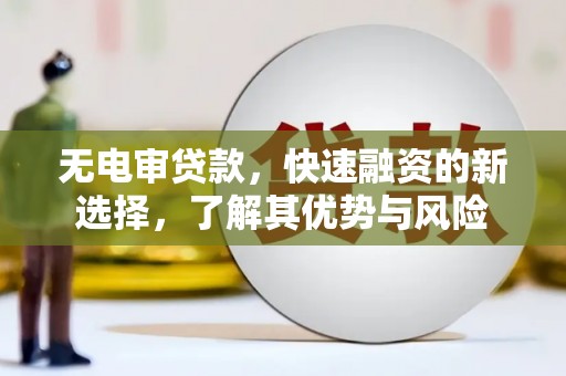 带岭无电审贷款，快速融资的新选择，了解其优势与风险