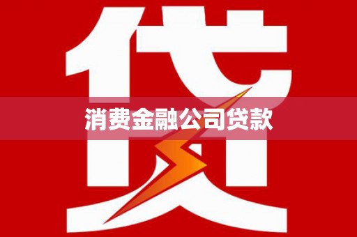 带岭消费金融公司贷款