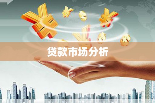 带岭贷款市场分析