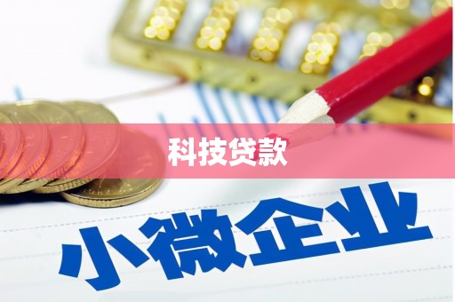 带岭科技贷款