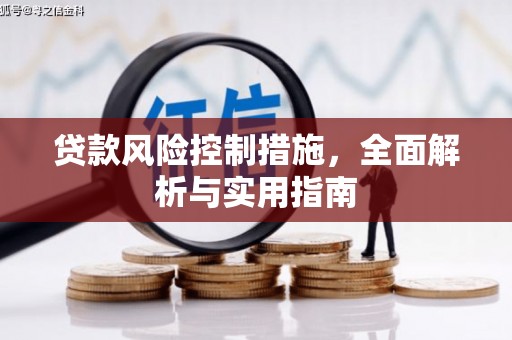 带岭贷款风险控制措施，全面解析与实用指南