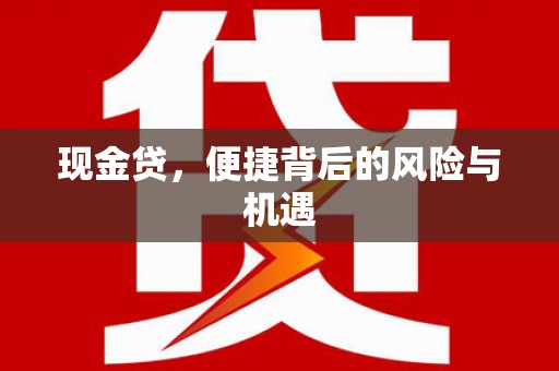 带岭现金贷，便捷背后的风险与机遇