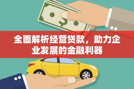带岭全面解析经营贷款，助力企业发展的金融利器