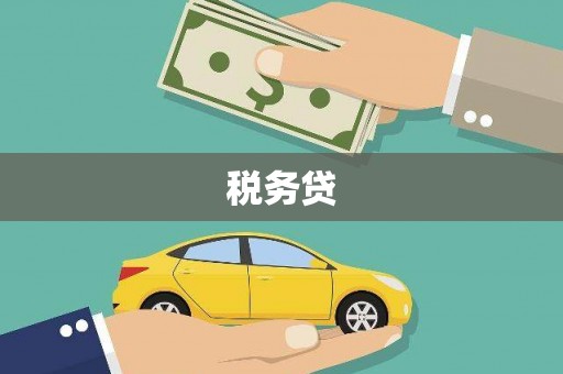 带岭税务贷