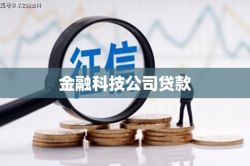 带岭金融科技公司贷款