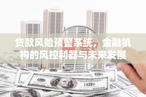 带岭贷款风险预警系统，金融机构的风控利器与未来发展