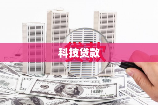 带岭科技贷款