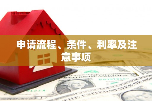 带岭申请流程、条件、利率及注意事项