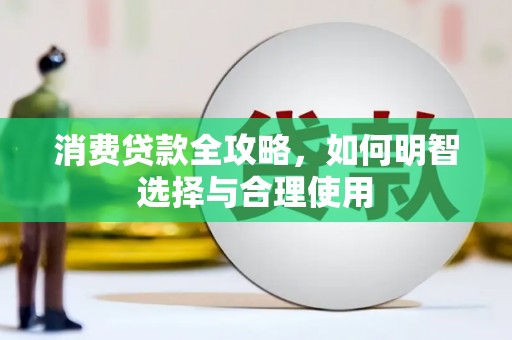 带岭消费贷款全攻略，如何明智选择与合理使用