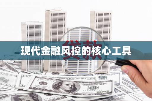 带岭现代金融风控的核心工具