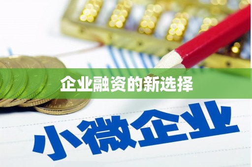 带岭企业融资的新选择