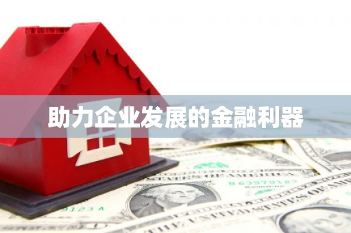 带岭助力企业发展的金融利器