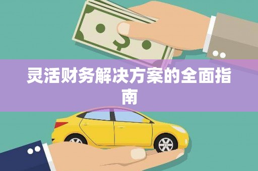 带岭灵活财务解决方案的全面指南