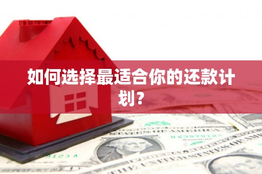 带岭如何选择最适合你的还款计划？