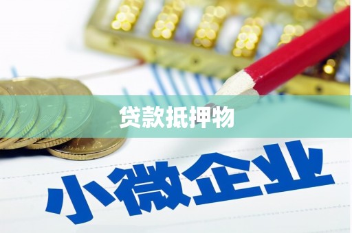 带岭贷款抵押物