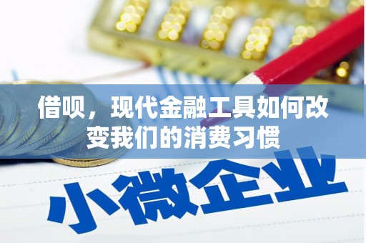 带岭借呗，现代金融工具如何改变我们的消费习惯