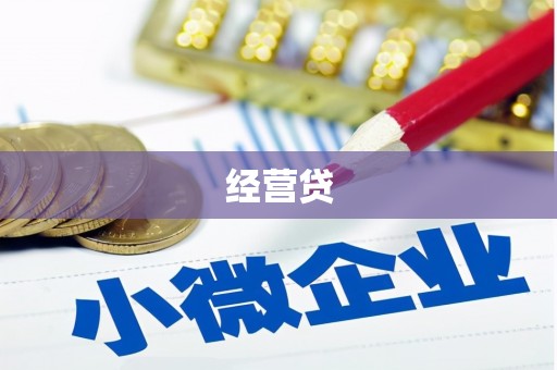 带岭经营贷