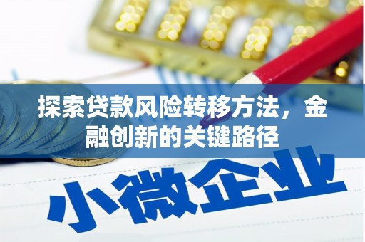带岭探索贷款风险转移方法，金融创新的关键路径