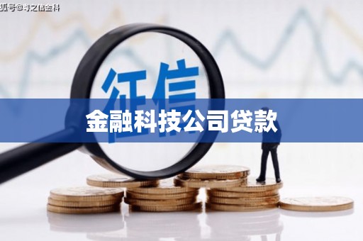 带岭金融科技公司贷款