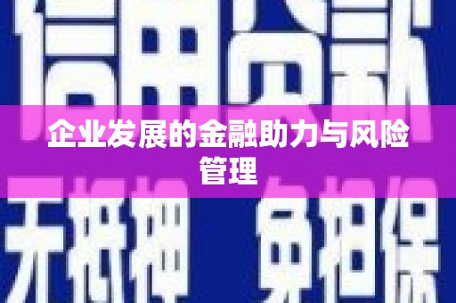带岭企业发展的金融助力与风险管理