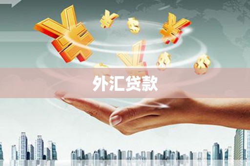 带岭外汇贷款