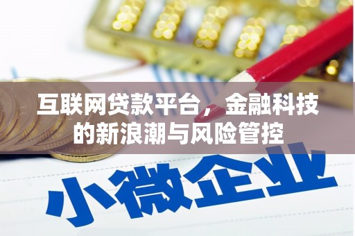 带岭互联网贷款平台，金融科技的新浪潮与风险管控