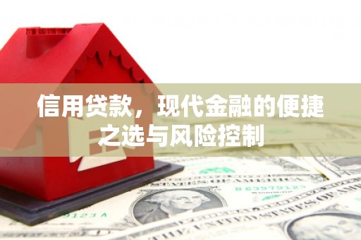 带岭信用贷款，现代金融的便捷之选与风险控制
