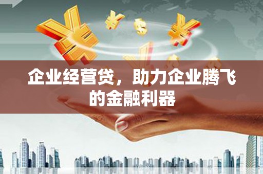带岭企业经营贷，助力企业腾飞的金融利器
