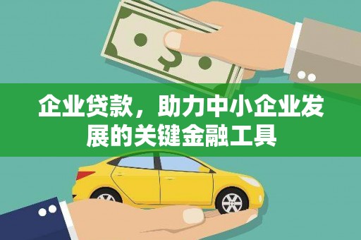 带岭企业贷款，助力中小企业发展的关键金融工具