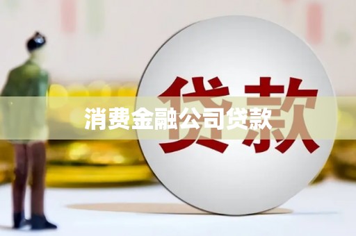 带岭消费金融公司贷款