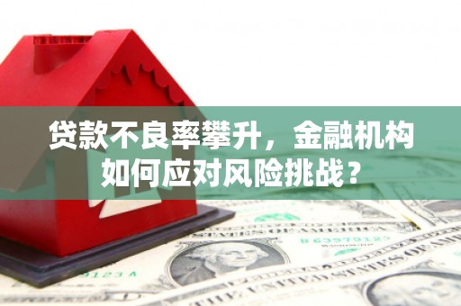 带岭贷款不良率攀升，金融机构如何应对风险挑战？