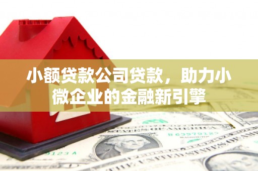 带岭小额贷款公司贷款，助力小微企业的金融新引擎