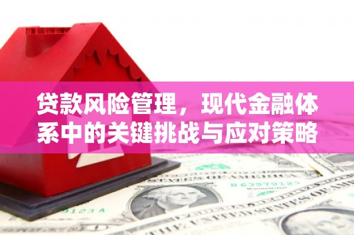 带岭贷款风险管理，现代金融体系中的关键挑战与应对策略