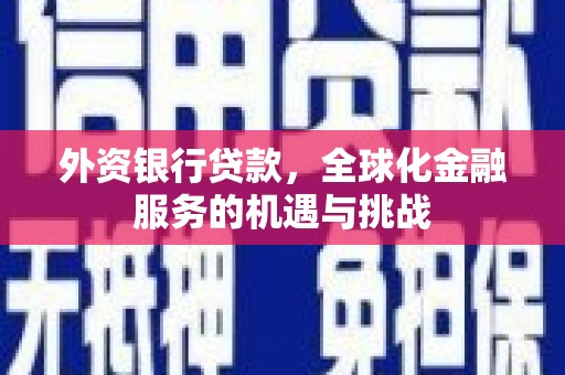 带岭外资银行贷款，全球化金融服务的机遇与挑战