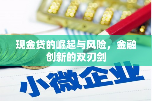 带岭现金贷的崛起与风险，金融创新的双刃剑