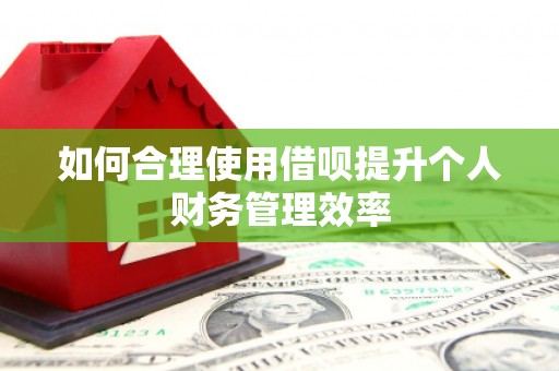 带岭如何合理使用借呗提升个人财务管理效率
