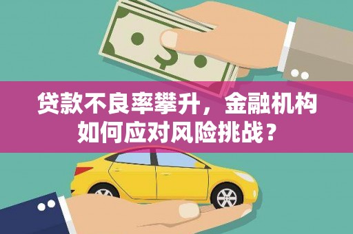 带岭贷款不良率攀升，金融机构如何应对风险挑战？