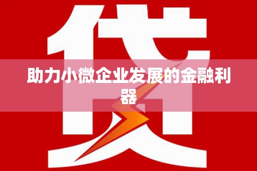 带岭助力小微企业发展的金融利器