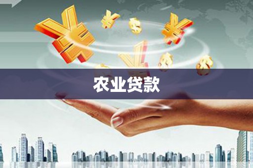 带岭农业贷款