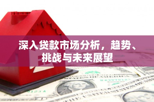 带岭深入贷款市场分析，趋势、挑战与未来展望