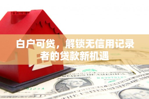 带岭白户可贷，解锁无信用记录者的贷款新机遇