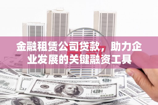带岭金融租赁公司贷款，助力企业发展的关键融资工具