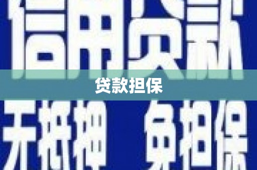 带岭贷款担保