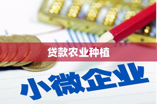 带岭贷款农业种植