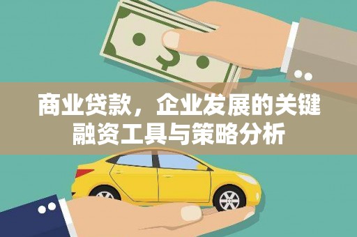 带岭商业贷款，企业发展的关键融资工具与策略分析