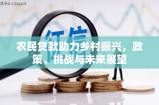 带岭农民贷款助力乡村振兴，政策、挑战与未来展望