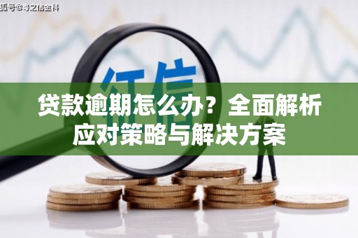带岭贷款逾期怎么办？全面解析应对策略与解决方案