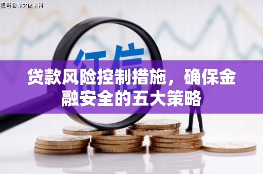 带岭贷款风险控制措施，确保金融安全的五大策略