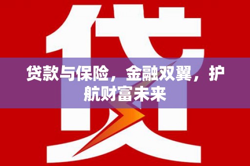带岭贷款与保险，金融双翼，护航财富未来